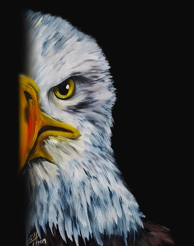 Eagle Stare