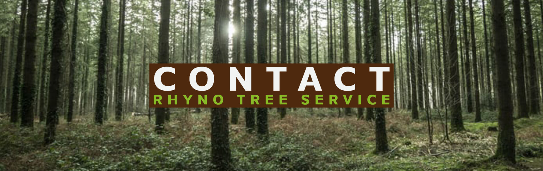 Contact Rhyno Tree Service