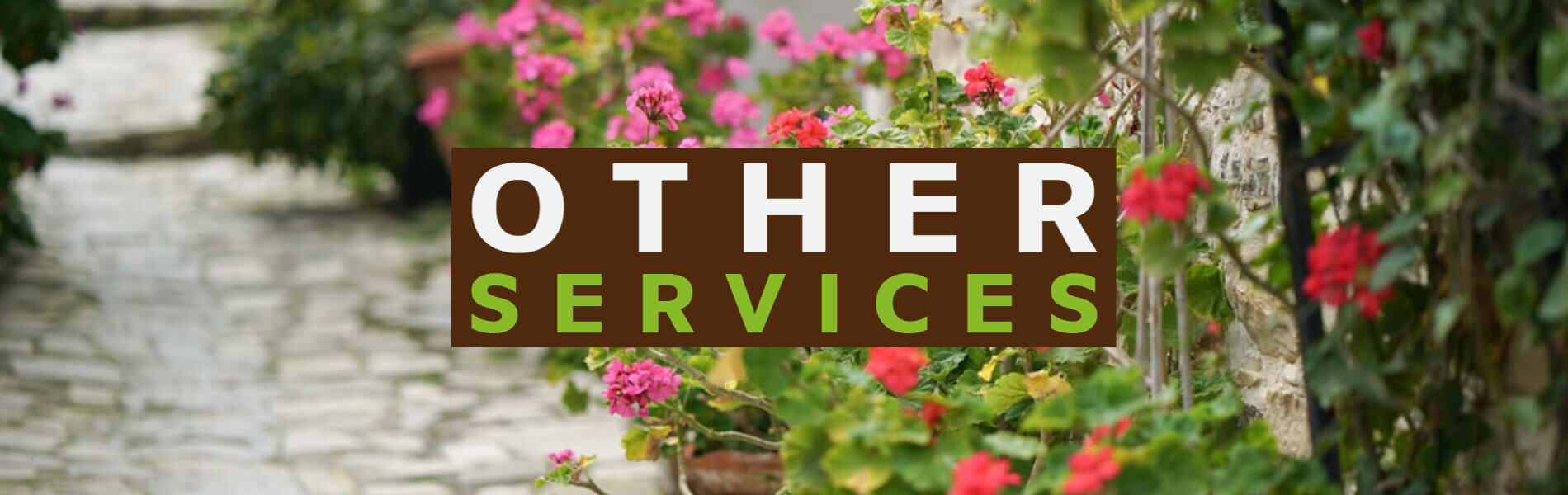 Other Services Offered By Rhyno Tree Service