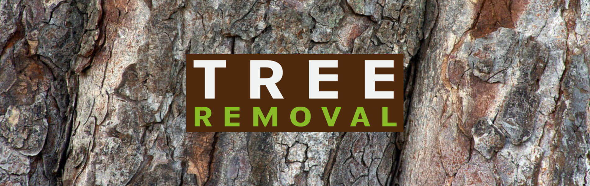 Tree removal offered by Rhyno Tree Service